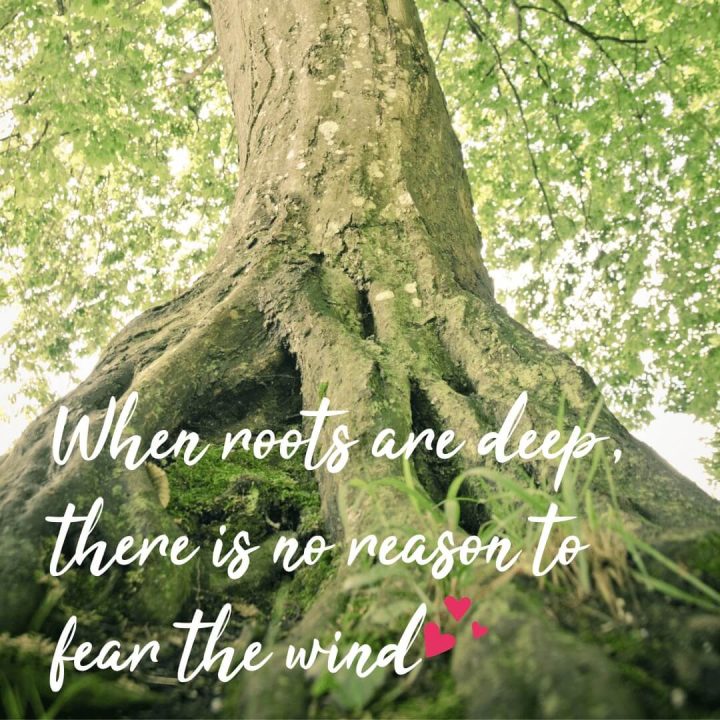 When roots are deep, there is no reason to fear the wind.